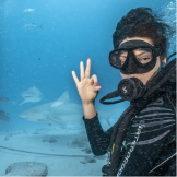 Swimming with sharks